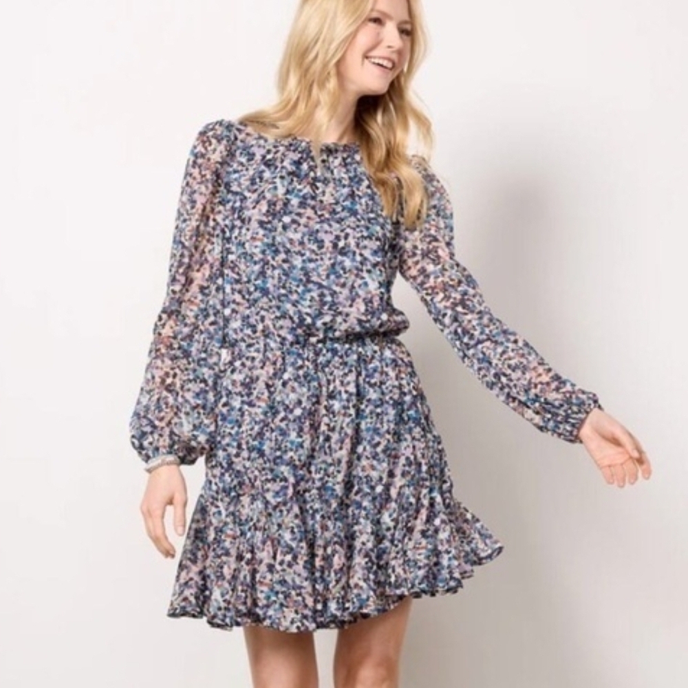 Evereve Medium Isla Floral Long-Sleeve Ruffle-Hem Dress